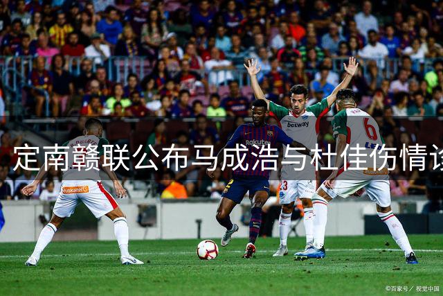 定南赣联公布马成浩与杜佳伤情诊断结果