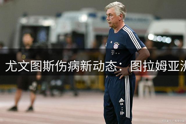 尤文图斯伤病新动态：图拉姆亚洲行成疑，伊尔迪兹复出在即